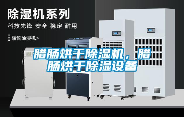 臘腸烘干除濕機，臘腸烘干除濕設備