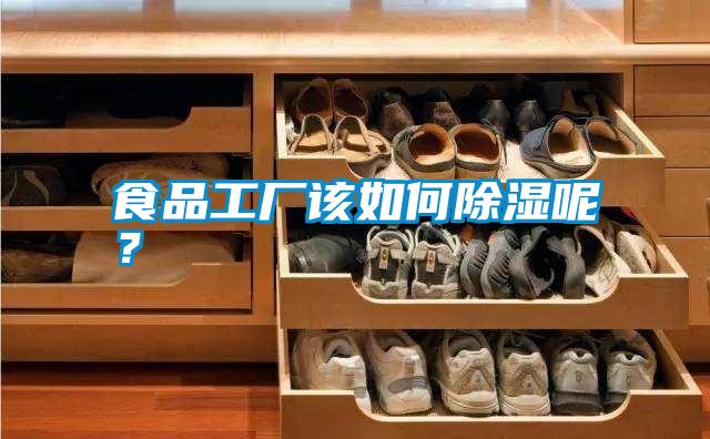 食品工廠該如何除濕呢？