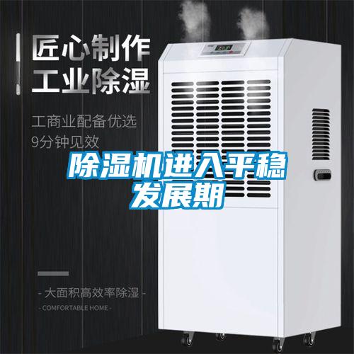 除濕機進入平穩(wěn)發(fā)展期