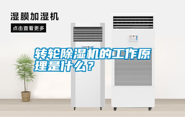 轉輪除濕機的工作原理是什么？