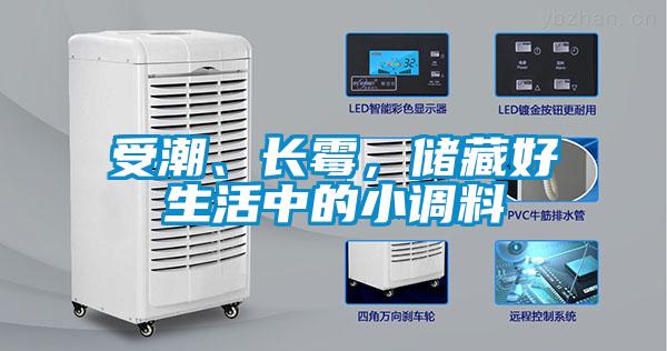 受潮、長霉，儲藏好生活中的小調(diào)料