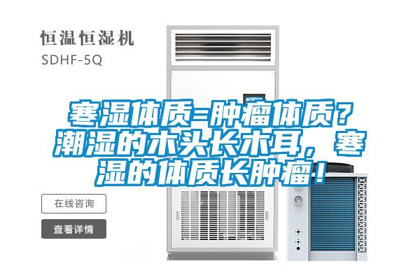 寒濕體質=腫瘤體質？潮濕的木頭長木耳，寒濕的體質長腫瘤！