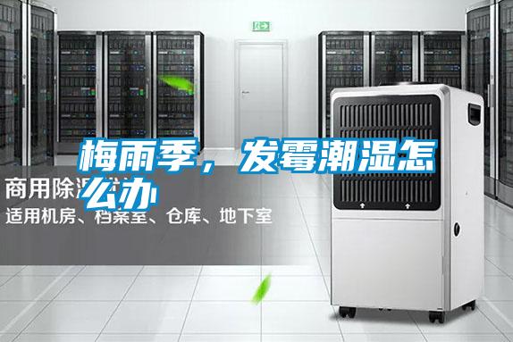 梅雨季，發(fā)霉潮濕怎么辦