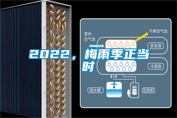2022，梅雨季正當時