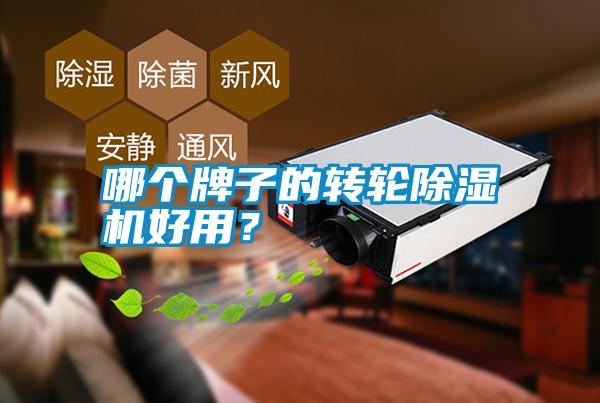 哪個(gè)牌子的轉(zhuǎn)輪除濕機(jī)好用？