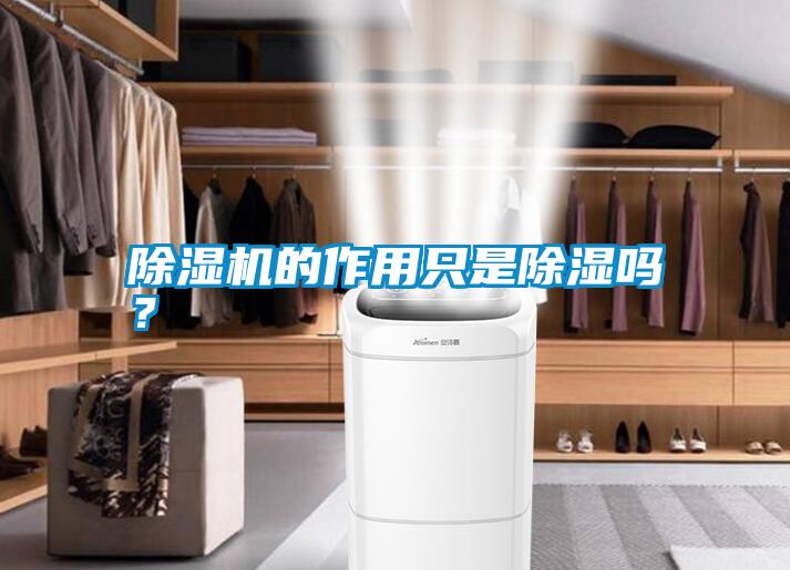 除濕機(jī)的作用只是除濕嗎？