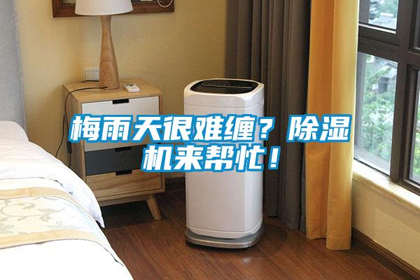 梅雨天很難纏？除濕機來幫忙！