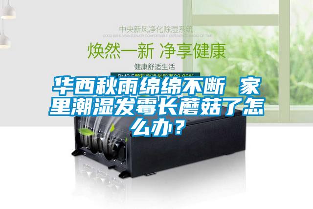 華西秋雨綿綿不斷 家里潮濕發(fā)霉長(zhǎng)蘑菇了怎么辦？