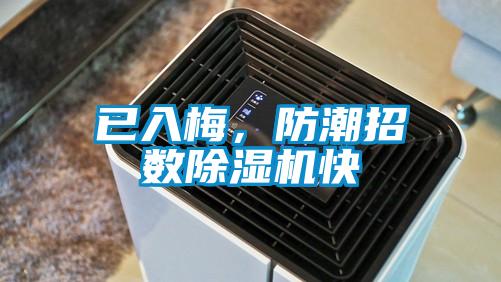 已入梅，防潮招數除濕機快
