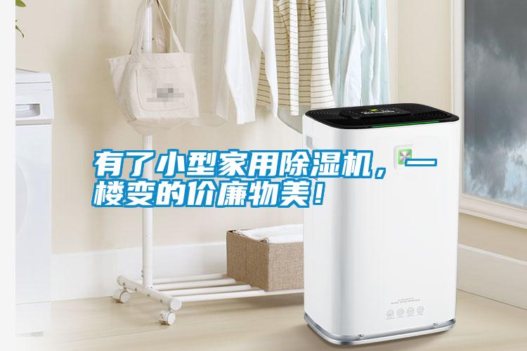 有了小型家用除濕機(jī)，一樓變的價(jià)廉物美！