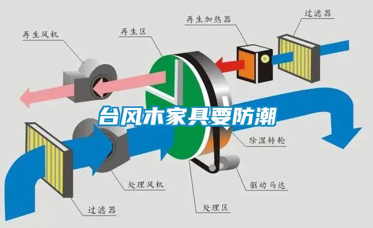 臺風(fēng)木家具要防潮