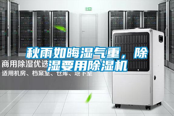 秋雨如晦濕氣重，除濕要用除濕機