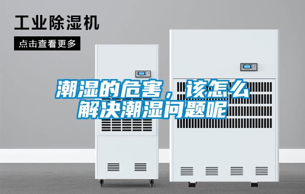 潮濕的危害，該怎么解決潮濕問題呢