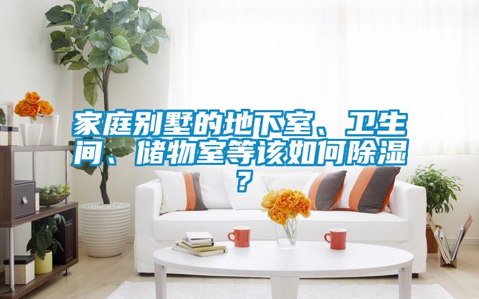 家庭別墅的地下室、衛(wèi)生間、儲(chǔ)物室等該如何除濕？