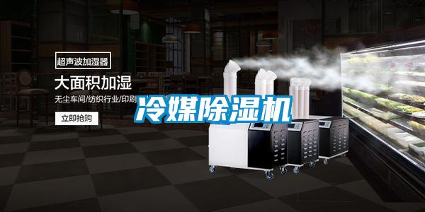 冷媒除濕機(jī)