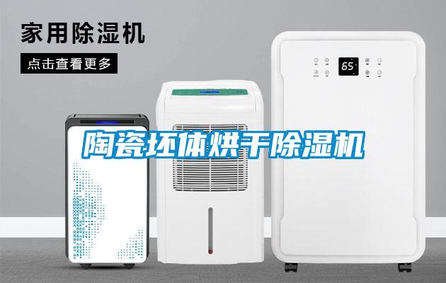 陶瓷坯體烘干除濕機(jī)