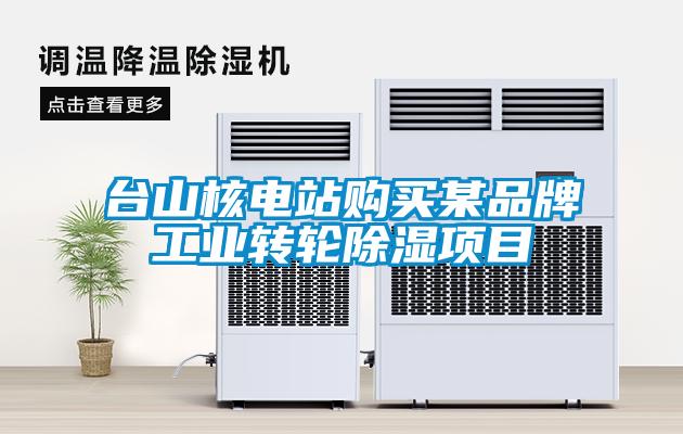 臺(tái)山核電站購(gòu)買(mǎi)某品牌工業(yè)轉(zhuǎn)輪除濕項(xiàng)目