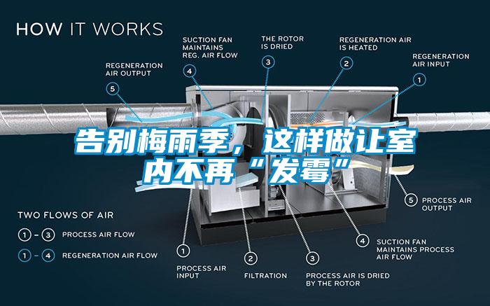 告別梅雨季，這樣做讓室內不再“發霉”