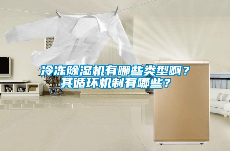 冷凍除濕機有哪些類型??？其循環機制有哪些？
