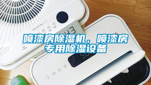 噴漆房除濕機(jī)，噴漆房專用除濕設(shè)備