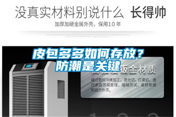 皮包多多如何存放？防潮是關(guān)鍵