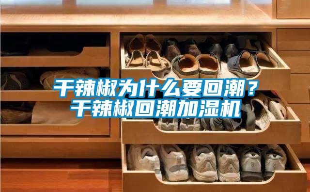干辣椒為什么要回潮？干辣椒回潮加濕機(jī)