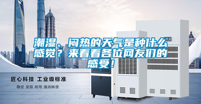 潮濕、悶熱的天氣是種什么感覺？來看看各位網友們的感受！