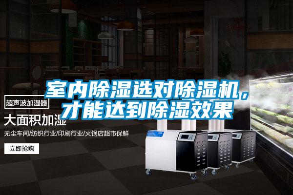 室內除濕選對除濕機，才能達到除濕效果
