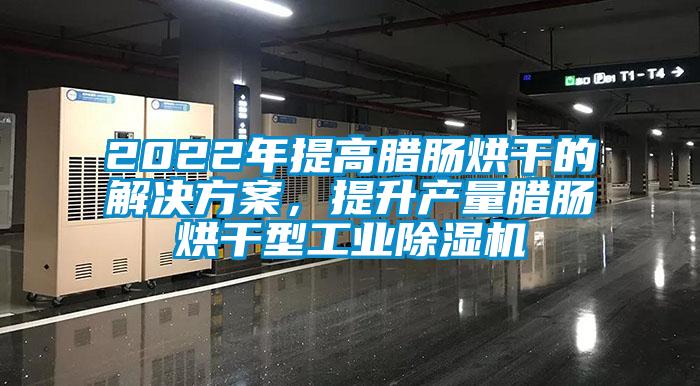 2022年提高臘腸烘干的解決方案，提升產量臘腸烘干型工業除濕機