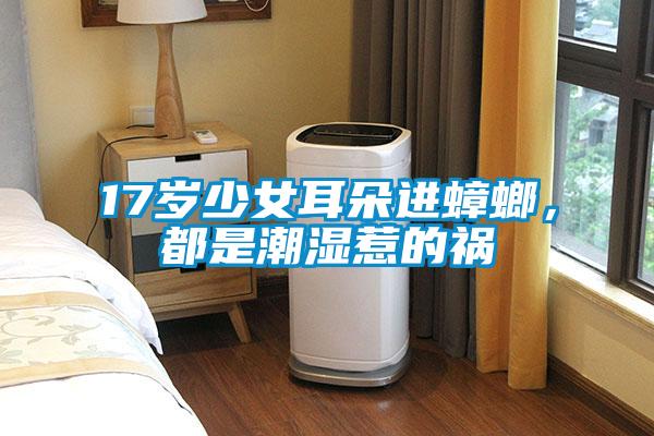 17歲少女耳朵進蟑螂，都是潮濕惹的禍