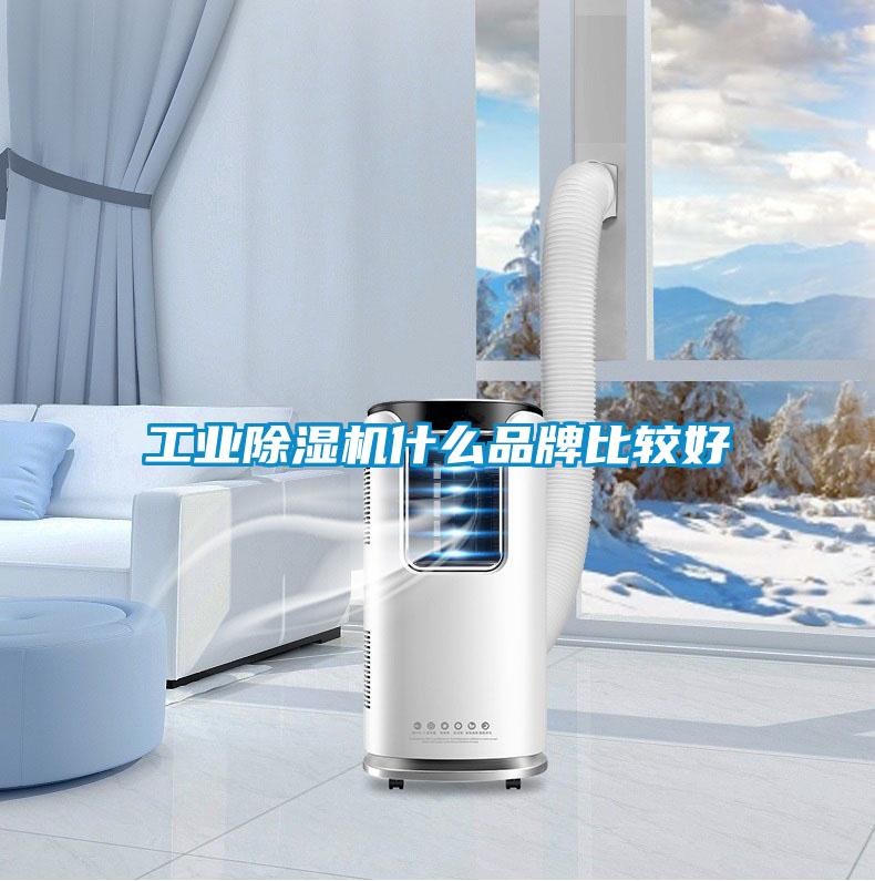 工業(yè)除濕機什么品牌比較好