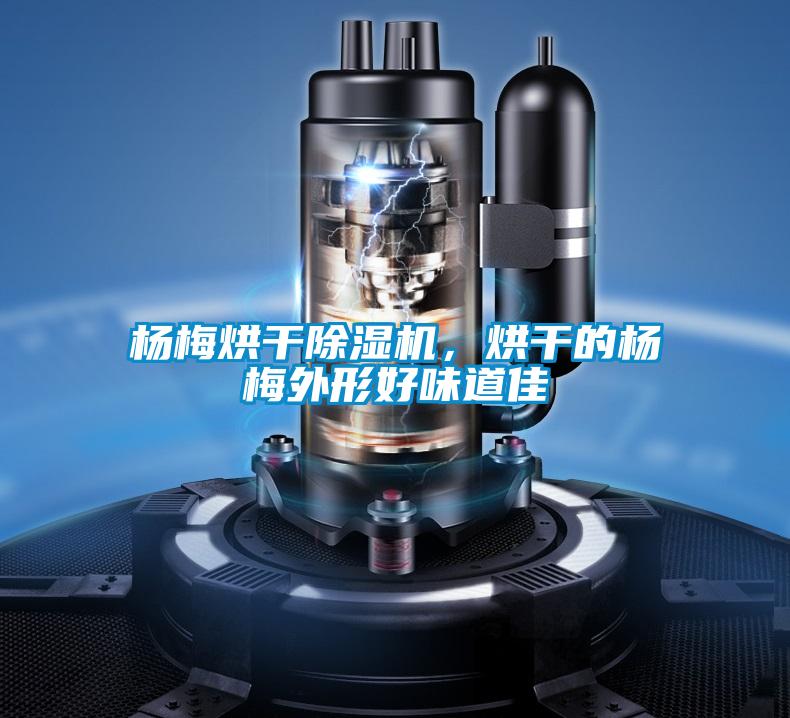 楊梅烘干除濕機，烘干的楊梅外形好味道佳