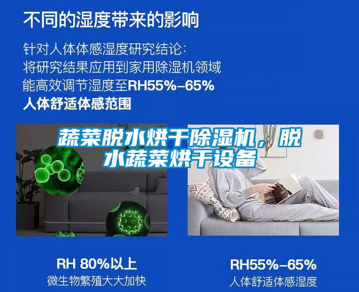 蔬菜脫水烘干除濕機，脫水蔬菜烘干設備