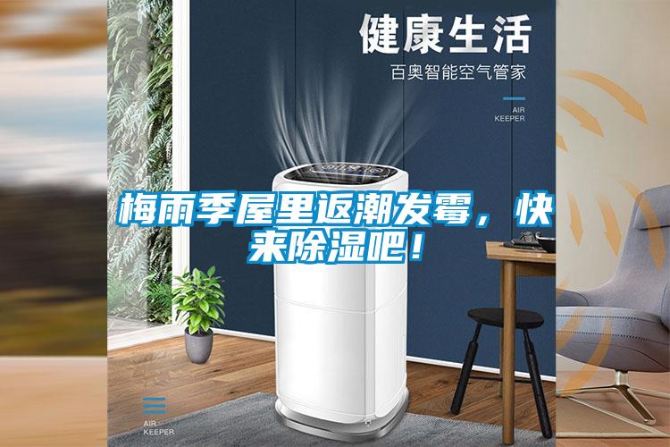 梅雨季屋里返潮發霉，快來除濕吧！