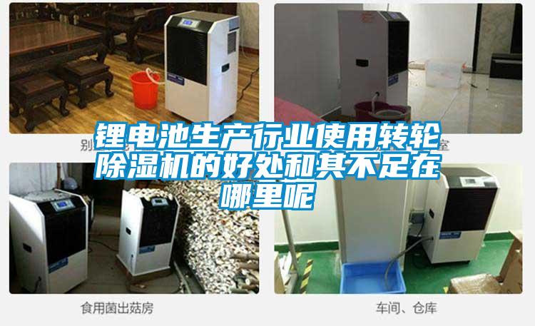 鋰電池生產行業(yè)使用轉輪除濕機的好處和其不足在哪里呢