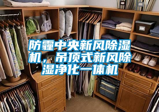 防霾中央新風(fēng)除濕機，吊頂式新風(fēng)除濕凈化一體機