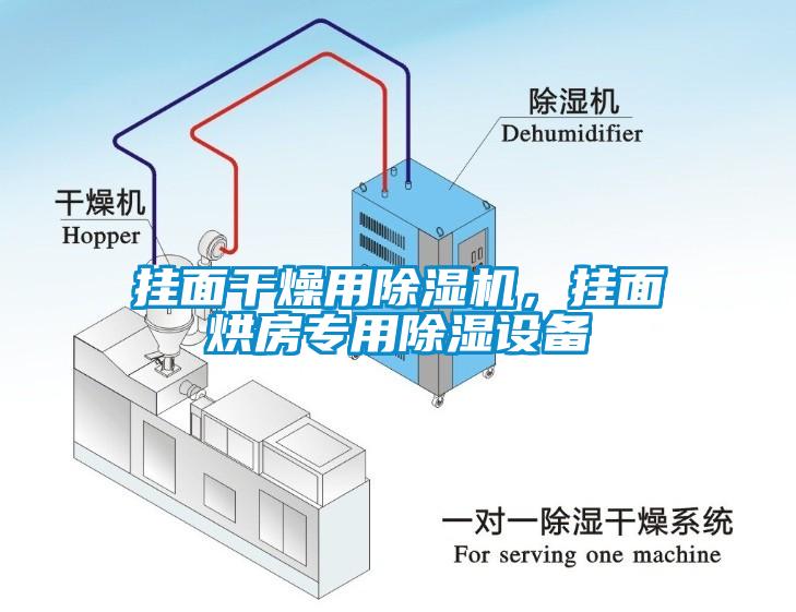 掛面干燥用除濕機，掛面烘房專用除濕設(shè)備