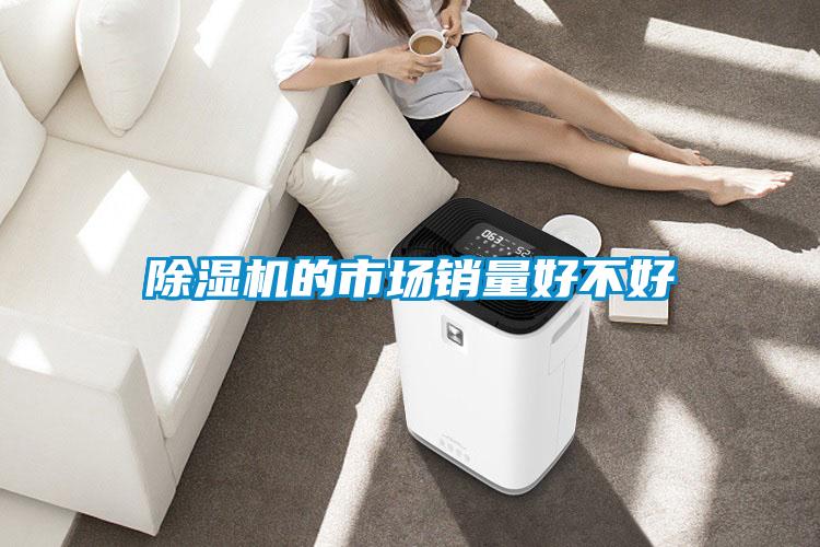 除濕機(jī)的市場(chǎng)銷量好不好