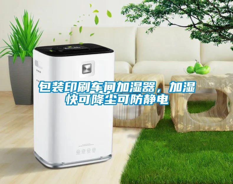 包裝印刷車間加濕器，加濕快可降塵可防靜電