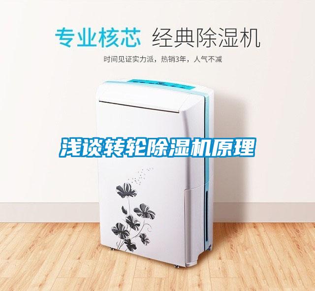 淺談轉(zhuǎn)輪除濕機原理
