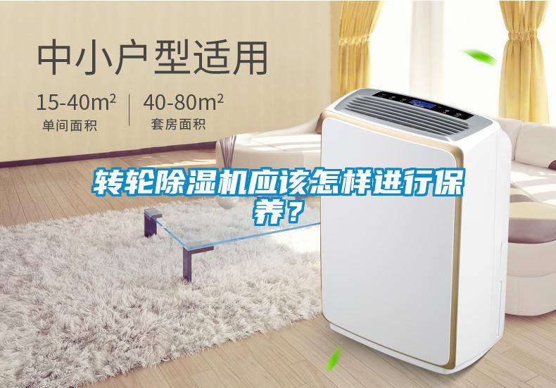 轉(zhuǎn)輪除濕機應該怎樣進行保養(yǎng)？