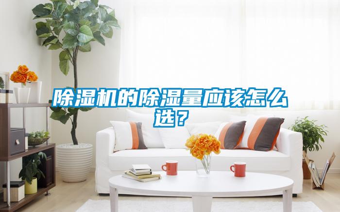 除濕機的除濕量應該怎么選？