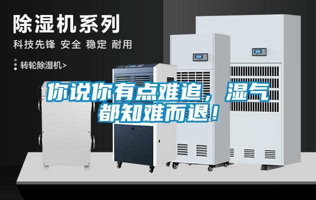 你說你有點難追，濕氣都知難而退！