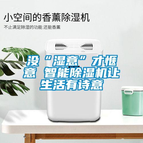 沒(méi)“濕意”才愜意 智能除濕機(jī)讓生活有詩(shī)意