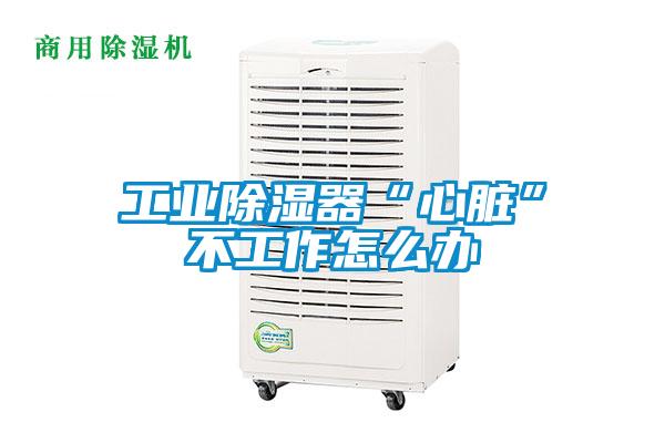 工業(yè)除濕器“心臟”不工作怎么辦