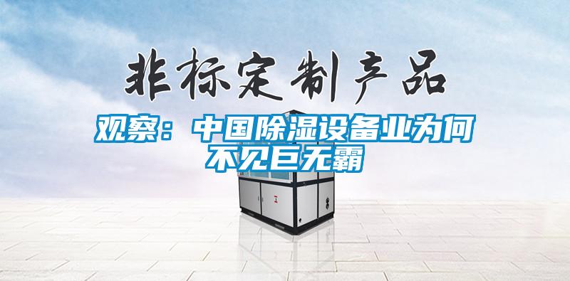觀察：中國除濕設備業(yè)為何不見巨無霸