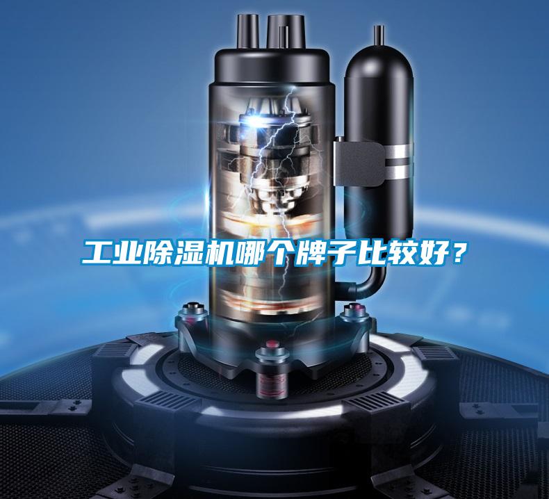 工業(yè)除濕機哪個牌子比較好？