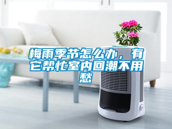 梅雨季節怎么辦，有它幫忙室內回潮不用愁