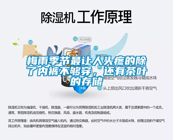 梅雨季節最讓人頭疼的除了內褲不夠穿，還有茶葉的存儲