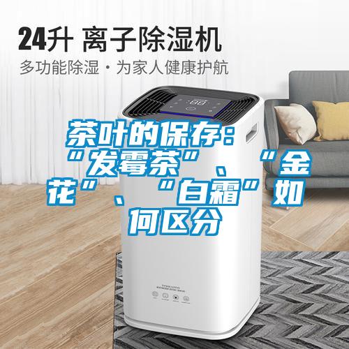 茶葉的保存：“發(fā)霉茶”、“金花”、“白霜”如何區(qū)分
